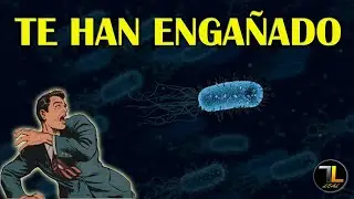 🦠 BACTERIAS en la dieta BARF | ¿VERDAD o MENTIRA?