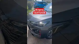 ВСТРЕЧА НА ОЗЕРЕ CHANGAN CS55 plus / uni-s #клубавто #changan #авто #машина #cs55plus #uni-s #озеро