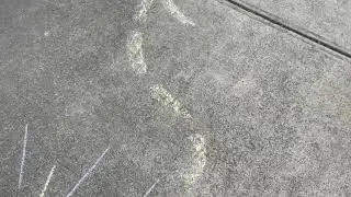 Sensory driveway walk