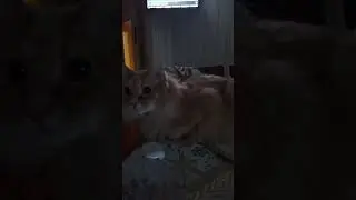 лучшее собеседование у нас вечерами