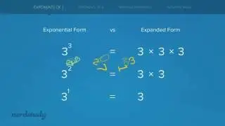 Exponents of 0 and 1, Negative Exponents, Negative Bases