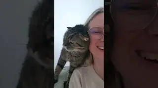 сладкая булочка #котики #милыеживотные #животные #котенок #сладкаябулочка