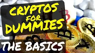 Cryptocurrency for beginners. How to start? How to find Airdrop? How to find 100X altcoins?