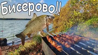Бисерово Рыбалка Карпы из Магазина Шашлык