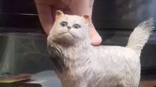 Очень плохие новости !!!!! Флати поломалась!!!😭😭😭😭😭😿😿😿