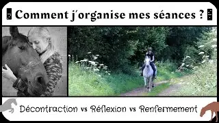 Séances commentées : rituels des séances et analyse d'attitudes qui se ressemblent