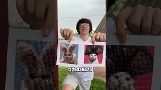 cобираю алмазную мозаику мемные коты 2.0 #обзор #алмазнаямозайка