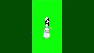 Welcome to Green Screen Animate,