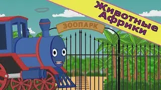 Животные Африки. Мультик про зоопарк