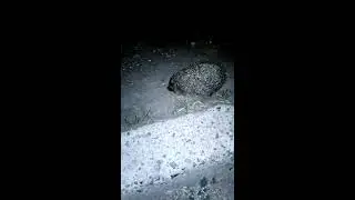 Ежик, передал привет Джафарову...