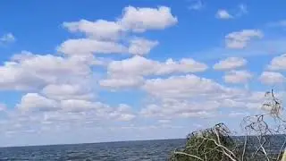 Релакс. Немного музыки на берегу!!!