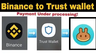 Withdraw in processing Binance | Trust Wallet  | Fix | Trust wallet Error |  Binance Payment problem