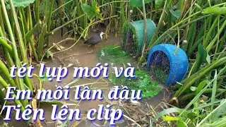 Bẫy cuốc,tét lụp & em mồi lần đầu tiên lên clip, cái kết mỹ mãn