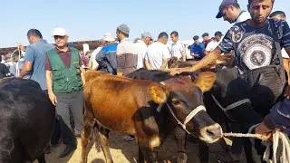 ГУНОЖИНЛАРНИ ЗУРЛАРИ ЧИКДИ КАРШИ КАРВОН МОЛ БОЗОРИГА