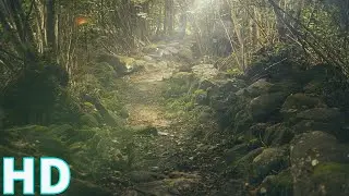 Amazing Shots of Nature | Stock Footage | Royalty Free | No Copyright Videos