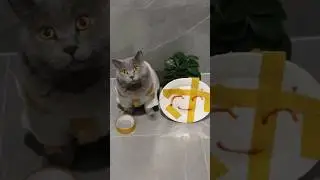 😊What’s Up With The Ketchup Face On My Plate?🍅🍽️ 