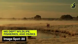 Wildlife Conservation | MS Dept Wildlife, Fisheries, and Parks