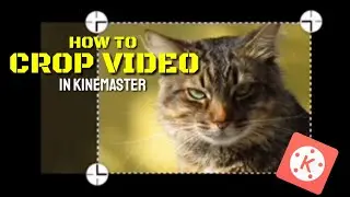 How to crop a video in KineMaster | Tutorial 2020