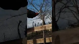 Мы с Макаром молодцы 🤣