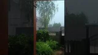 Дожди