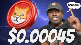 Top Shiba Inu News Of The Day $0.00045?!