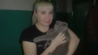Жужу