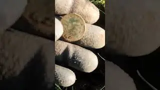 Наконец-то закрыл пустое место в альбоме, 1/2 пени 1876 года, королева Виктория. #коп