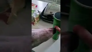 Собачка хотела помочь достать чипсы из коробки 