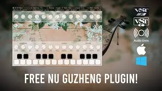 Free Nu Guzheng VST VST3 AU plugin