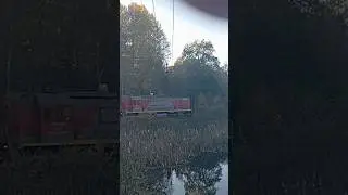 ТЭМ 18дм #train