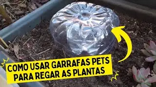 UTILIZE GARRAFAS PETS PARA REGAR AS PLANTAS COM ESSES 2 MÉTODOS