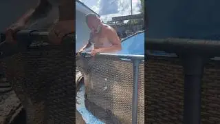 It’s that time of year again #love #family #fun #summer #pool #life #beautiful #shorts #subscribe