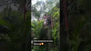 Благословение на Огонь Жизни