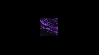 CYBERDREAM SONGS