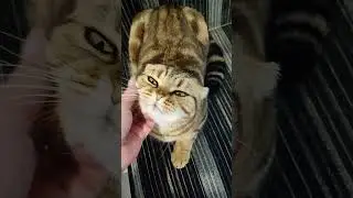 Энергии хоть отбавляй🐰🔋