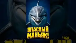Дельфин - Подводный извращенец, который обожает кайф и пристает к туристам!