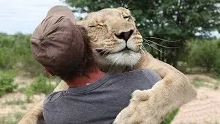 GESTI EROICI DI ANIMALI
