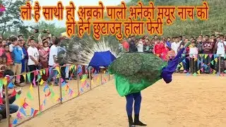 लौ है साथी हो अबको पालो भनेको मयूर नाच को हो हेर्न छुटाउनु होला नि