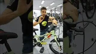 Dječji bicikli Dino Bikes 20