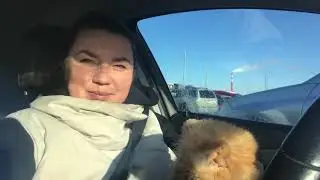 Покупки в Леруа Мерлен