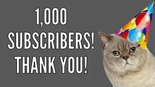 One Thousand Subscribers: THANK YOU!