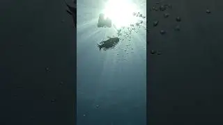 Sometimes losing a fish can turn out to be a great experience!