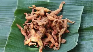 Buhay bukid(Palakang bukid)hinuli at linuto