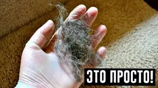 Как быстро убрать шерсть в доме: 5 эффективных способов!