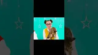 Появляется настоящий кот