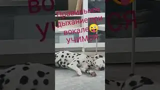 Правильное дыхание в вокале. Учимся, запоминаем😜 #music #академическийвокал #вокал