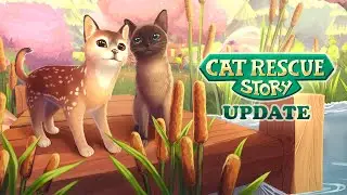 Cat Rescue Story: Update