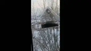 Кормление птиц - декабрь 2023