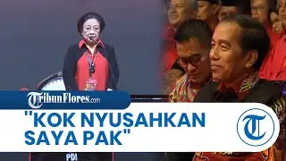 Cerita Megawati saat Didapuk Jokowi Jadi Ketua Dewan Pengarah BPIP: Nyusahkan Saya Pak