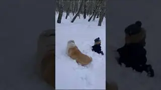 Зимние зарисовки #Друганы #Аббас #питомникшилеле #выпускник